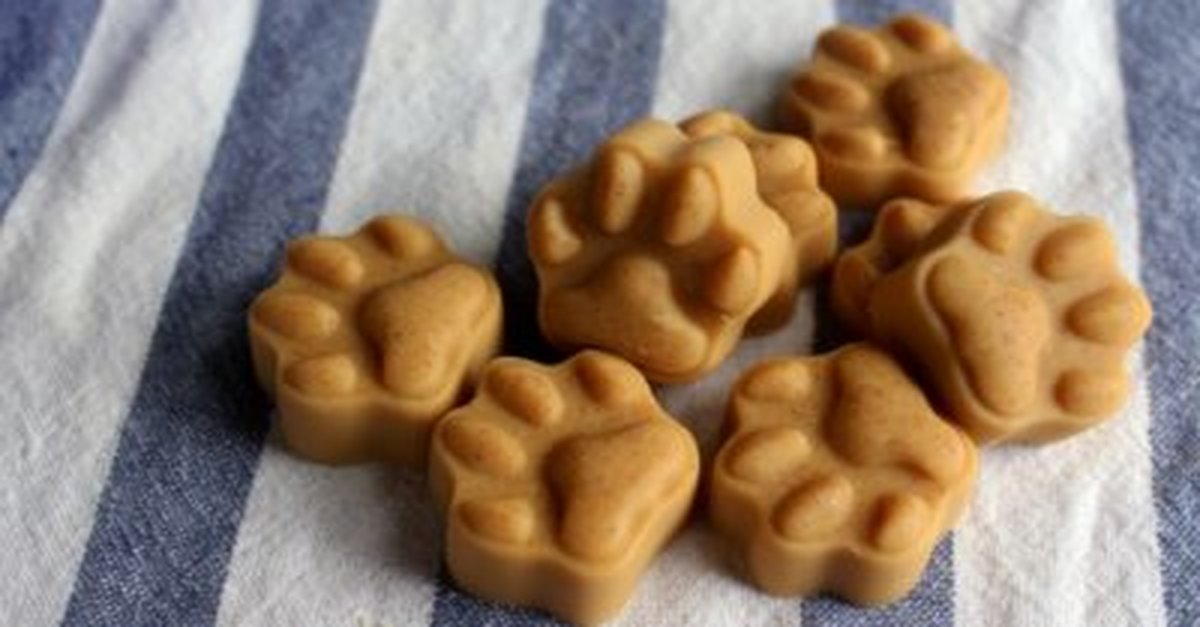 Coconut Oil Peanut Butter Dog Treats | Recipe Cloud App