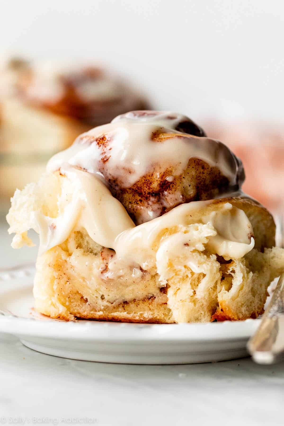 Quick 1-rise Cinnamon Rolls | Recipe Cloud App