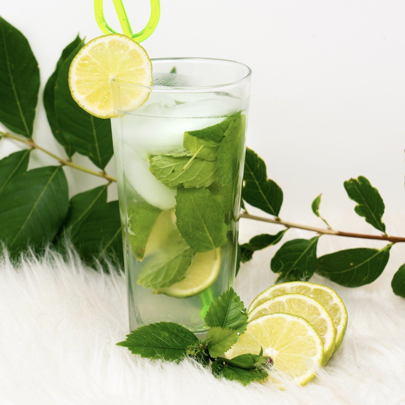 Skinny Mint Mojito | Recipe Cloud App
