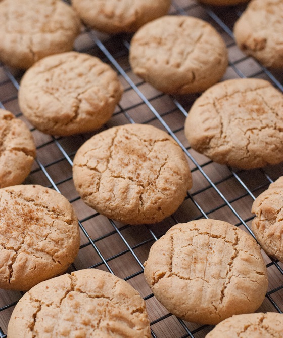 Peanut Butter Cookies | Recipe Cloud App