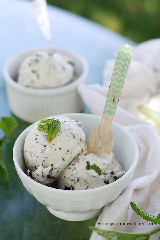 Ninja Mint Chocolate Chip Ice Cream | Recipe Cloud App