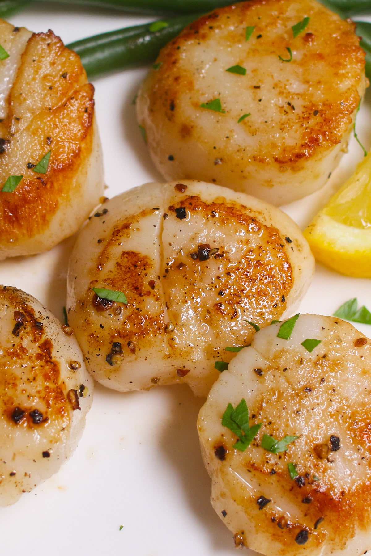 Sous Vide Scallops With Lemon And Butter {Perfectly Tender!} | Recipe Cloud App