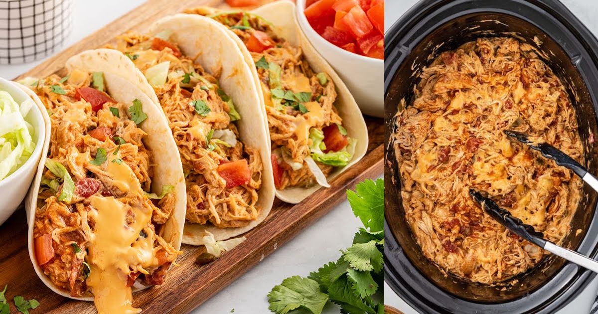 Tacos: Slow Cooker Queso Chicken Tacos | Recipe Cloud App