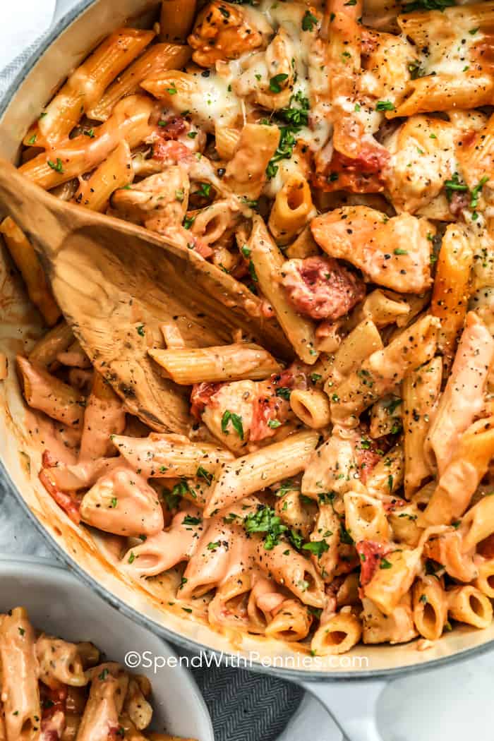 One Pot Pasta With Chicken | Recipe Cloud App