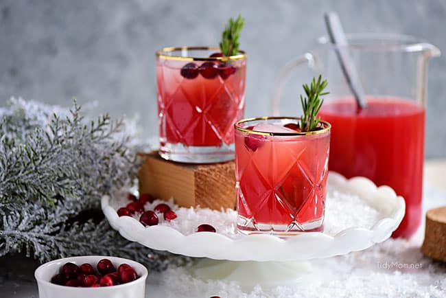Rudolph’s Tipsy Spritzer Cocktail | Recipe Cloud App