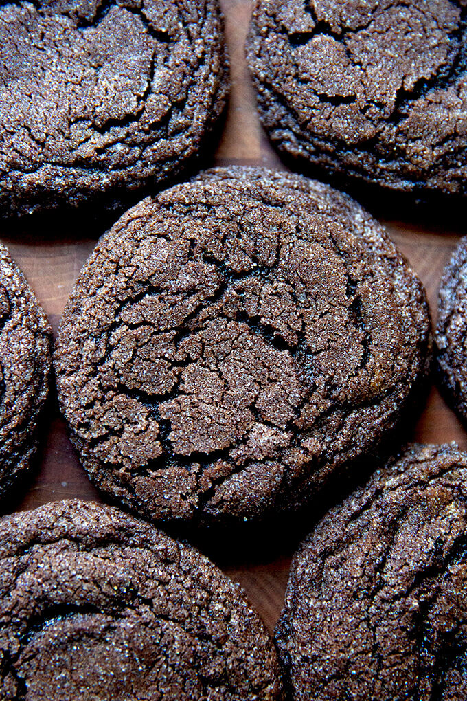 Chocolate Sugar Cookies | Recipe Cloud App
