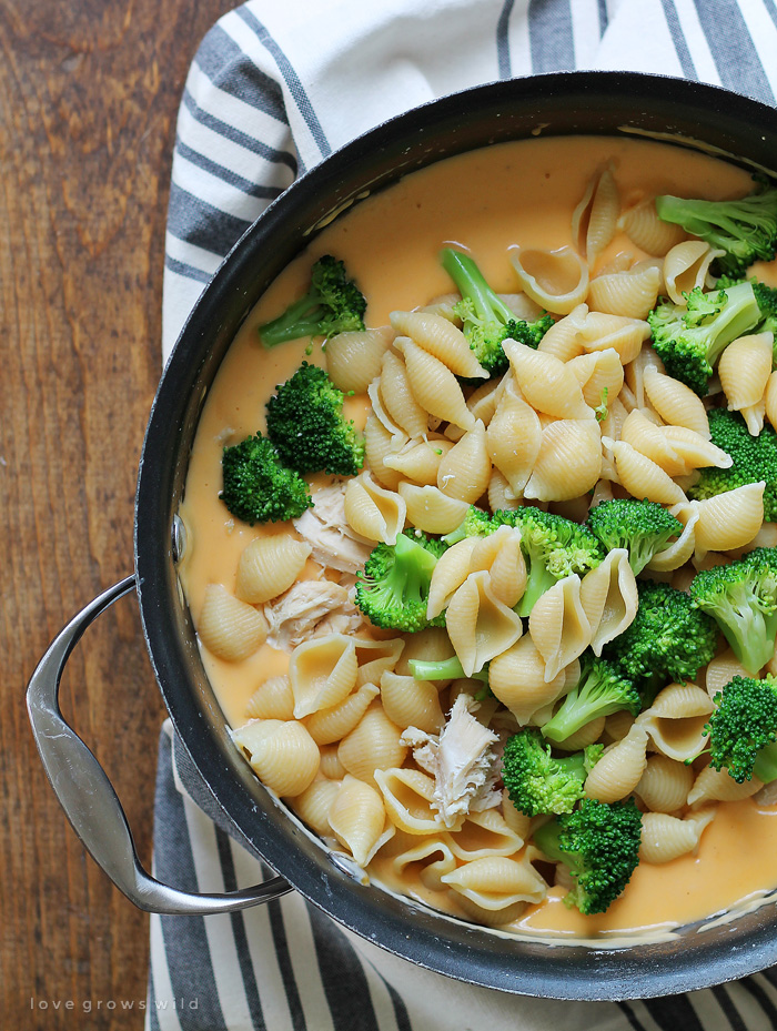 Chicken And Broccoli Shells And Cheese - Love Grows Wild | Recipe Cloud App