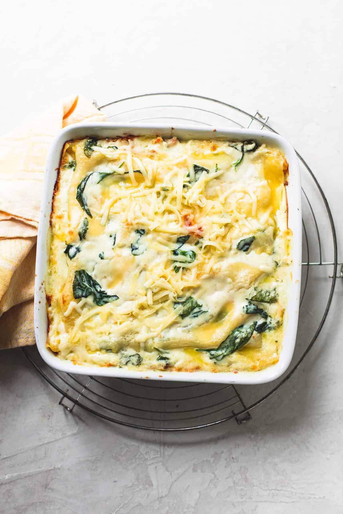 Easy White Chicken Lasagna With Spinach | Recipe Cloud App
