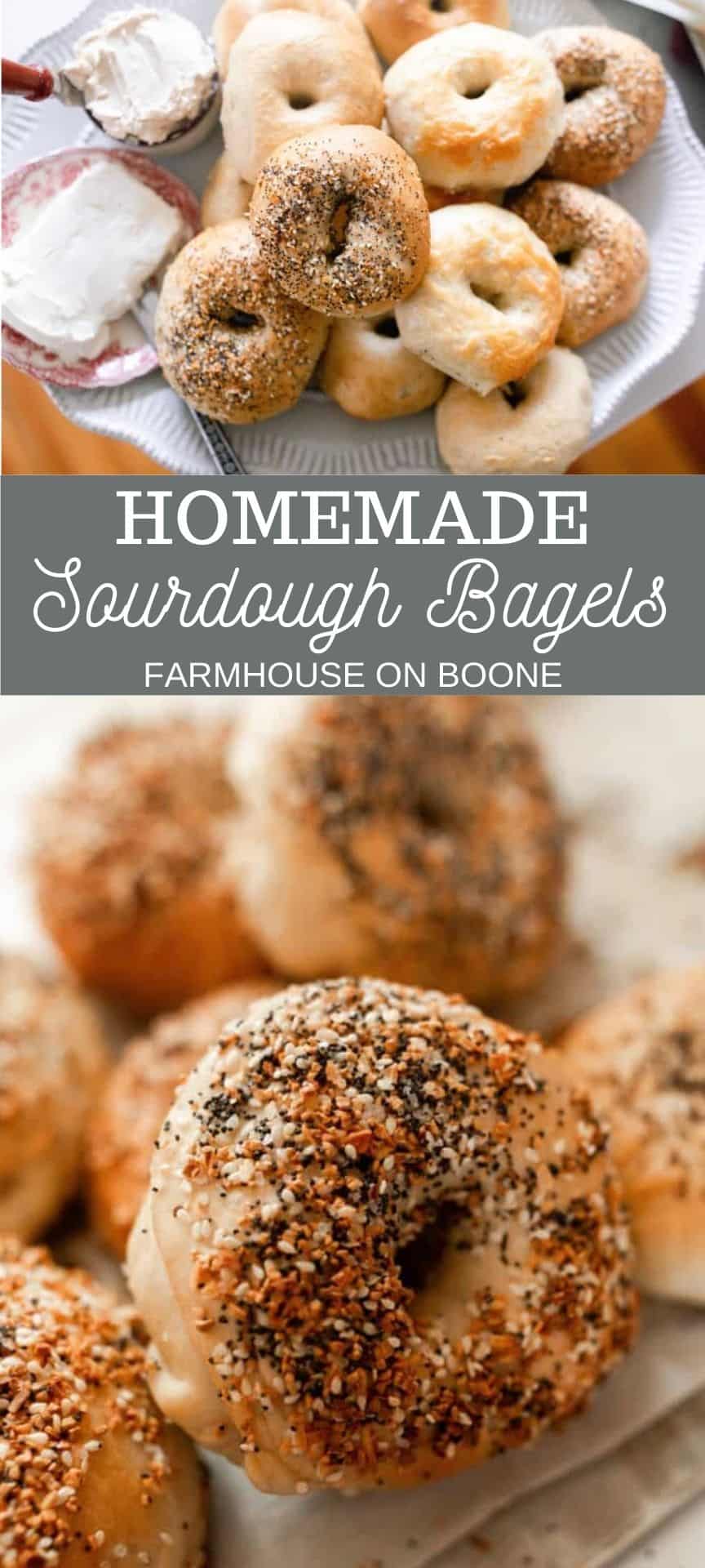 Sourdough Bagels | Recipe Cloud App