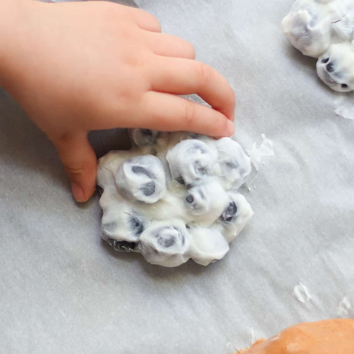 Frozen Yogurt Covered Blueberries | Recipe Cloud App