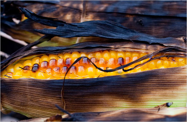 Grilled Corn On The Cob With Chipotle Mayonnaise | Recipe Cloud App