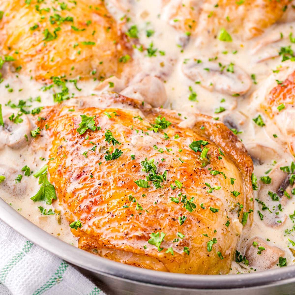 Chicken Thighs: Chicken Fricassee | Recipe Cloud App