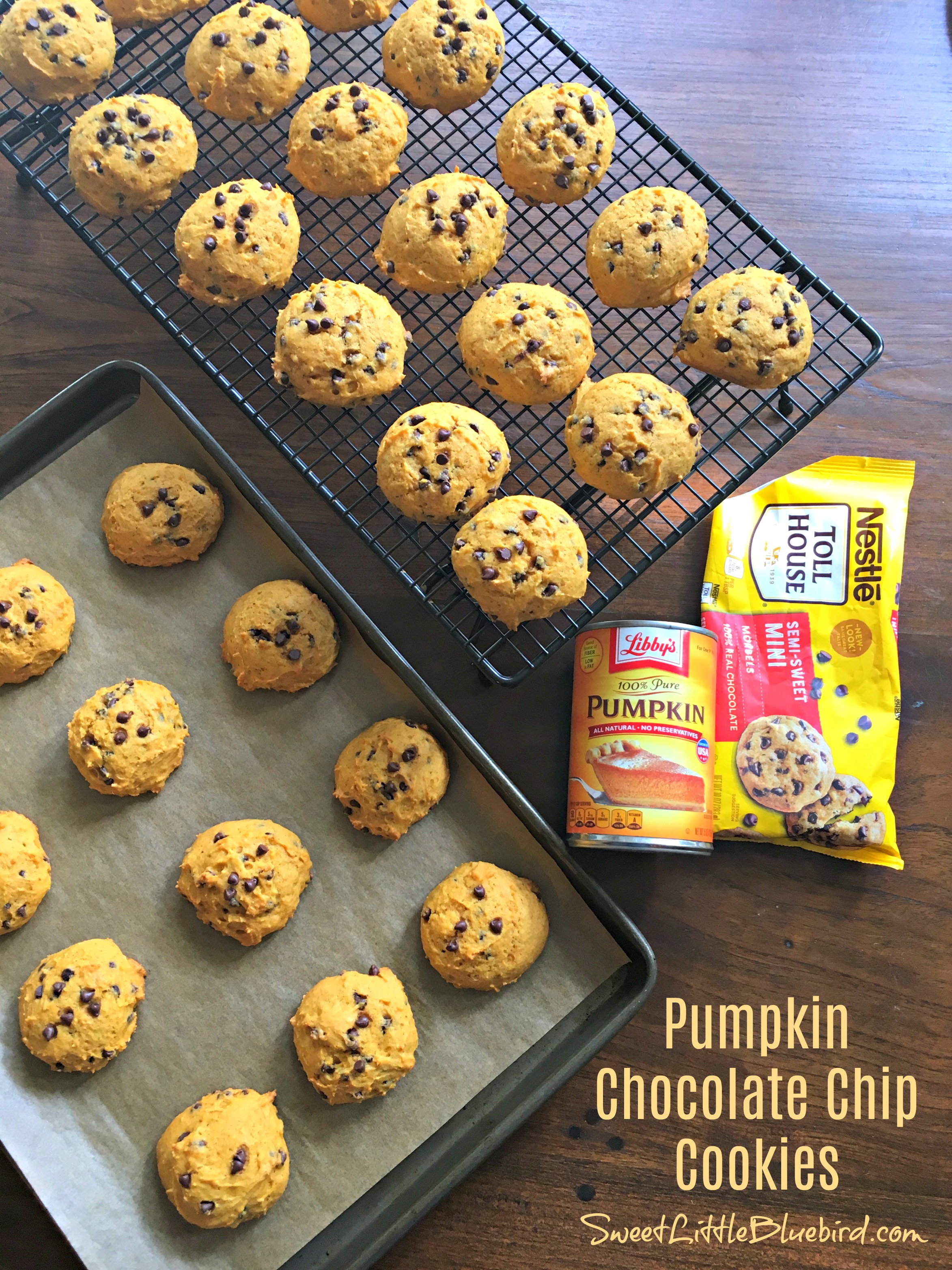 Pumpkin Chocolate Chip Cookies (Soft Batch) | Recipe Cloud App