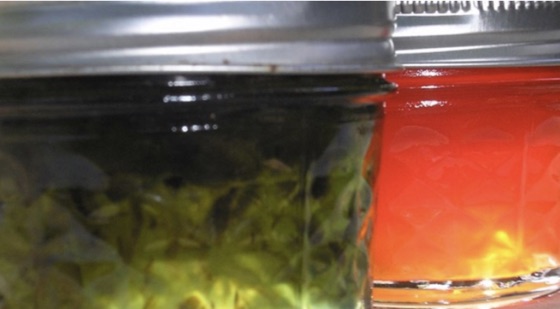 Jam Hot Pepper | Recipe Cloud App