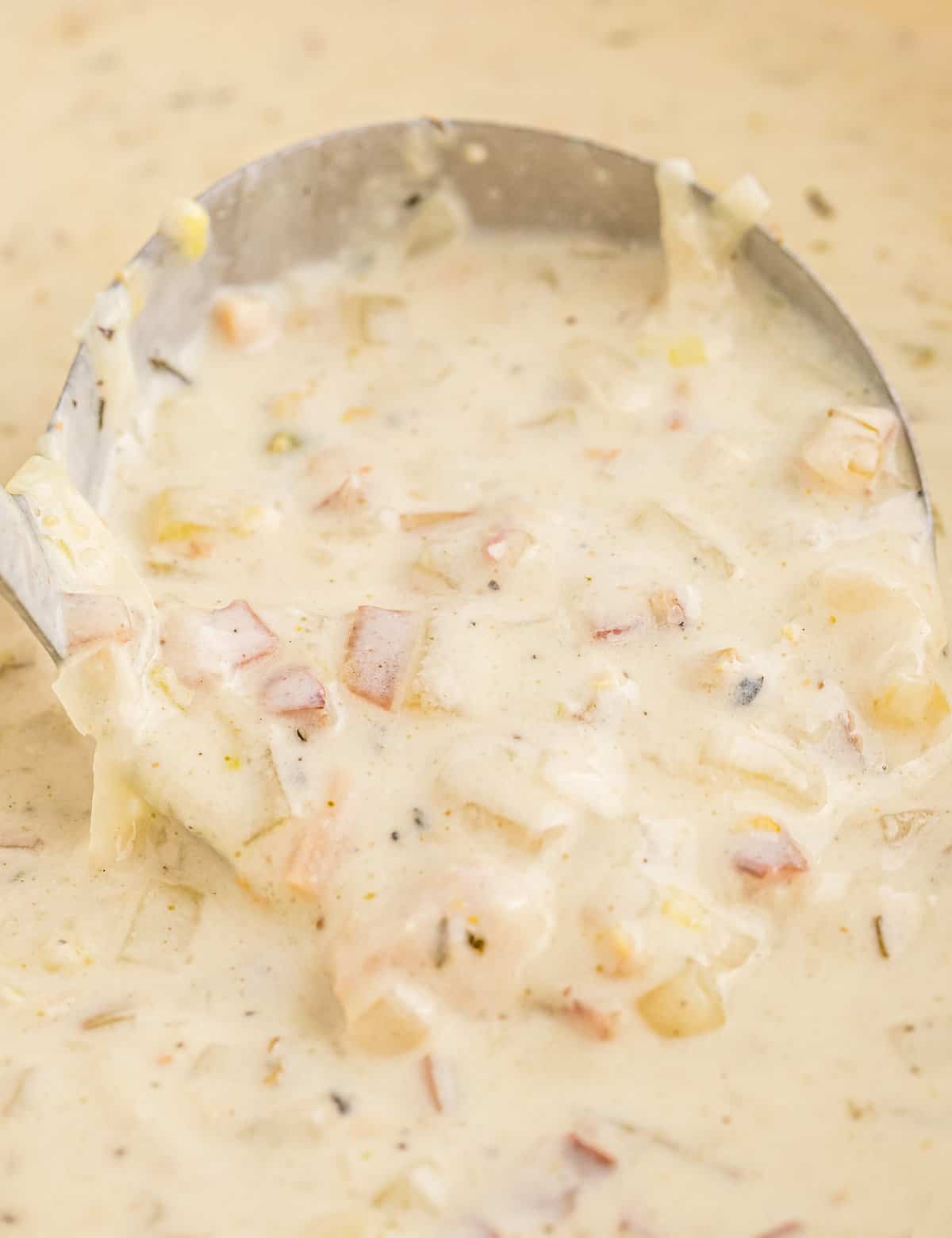 Creamy New England-Style Clam Chowder | Recipe Cloud App